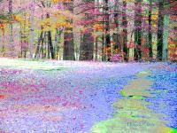 Enchanted Forest - Digital Digital - By Miraychel Stone, Abstract Digital Artist