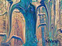 Flowing Tree - Digital Photography - By Miraychel Stone, Abstract Photography Artist