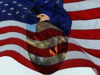 Eagle And Flag - Digital Photography - By Miraychel Stone, Abstract Photography Artist