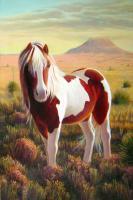 Southwest Wild Paint Pony - Acrylic On Canvas Paintings - By Charles Wallis, Realism Painting Artist