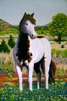 Texas Hill Country Stallion - Acrylic On Canvas Paintings - By Charles Wallis, Realism Painting Artist