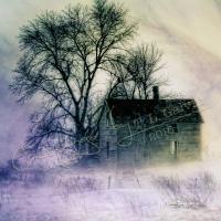 Winter Shelter - Digital Mixed Media - By Terrie Galvin, Realism Mixed Media Artist