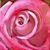A Rose - Oil On Museum Quality Flat Pan Paintings - By Helen Gallaway, Painterly Painting Artist