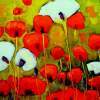 Field Of Poppies - Oil On Canvas Paintings - By Helen Gallaway, Painterly Painting Artist