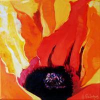 Close Up Poppy - Oil On Canvas Paintings - By Helen Gallaway, Painterly Painting Artist