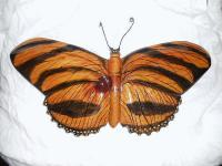 Wooden Wooden  Dryadula Butterfly - Acrylics And Varnish Woodwork - By Lisa Ruggiero, Realism Woodwork Artist