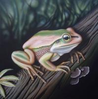 Recent Work - Green  Gold Bell Frog - Acrylics And Pigmented Ink