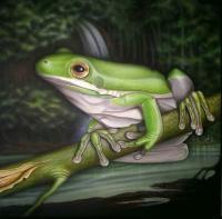 White Lipped Frog - Acrylics And Pigmented Ink Paintings - By Dallas Nyberg, Realism Painting Artist