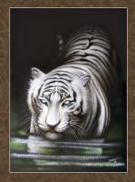 Recent Work - White Tiger - Acrylics And Pigmented Ink