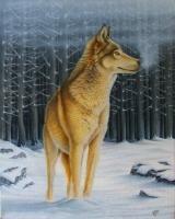 Forest Wolf - Wicked Acrylics Paintings - By Dallas Nyberg, Realism Painting Artist