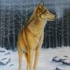 Forest Wolf - Wicked Acrylics Paintings - By Dallas Nyberg, Realism Painting Artist