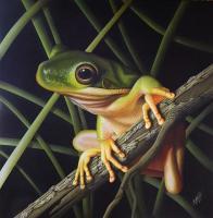 Green Tree Frog - Wicked Acrylics Paintings - By Dallas Nyberg, Realism Painting Artist
