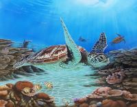 Sea Turtle - Wicked Acrylics Paintings - By Dallas Nyberg, Realism Painting Artist