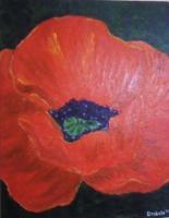 Oil Paintings - Poppy - Oil