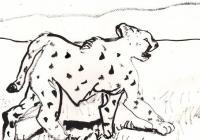 Cheetah 3 - Ink Drawings - By Samuel Zylstra, Calligraphy Drawing Artist