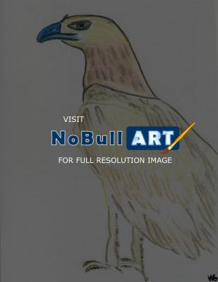 Early Works - Nam - Eagle II - Pencil And Paper