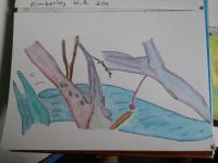 Fitzroy Crossing - Texta Drawings - By Ann-Claire Herrmann, Free Sketch Drawing Artist