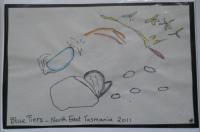 Blue Tiers - Pencil And Paper Drawings - By Ann-Claire Herrmann, Free Sketch Drawing Artist