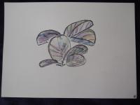 Leaves - Watercolour Pencil And Paper Drawings - By Ann-Claire Herrmann, Free Sketch Drawing Artist