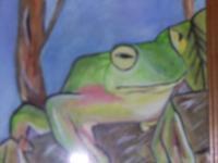 Nature - Lucky Frog On A Limb - Watercolor On Paper