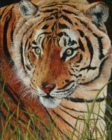 Focused - Acrylic Paintings - By Bob Child, Realism Painting Artist