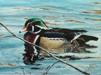 Woody - Acrylic Paintings - By Bob Child, Realism Painting Artist