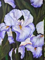Iris Awakening - Acrylic Paintings - By Cynthia Clark-Mahan, Realism Painting Artist