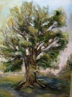 Landscape - The Oak - Oil