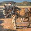 Draft Horses - Oil Paintings - By Matthew Thornburg, Realism Painting Artist