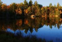 Fall Reflections - Enhanced Digital Photography - By Lois Lepisto, Natureweather Photography Artist