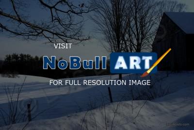 Scenic Shots - Winter Scene - Sony A200 Dslr