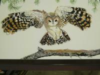 Comimg In - Pencil Drawings - By Rick Fuller, Wildlife Drawing Artist