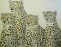 We See It - Pencil Drawings - By Rick Fuller, Wildlife Drawing Artist
