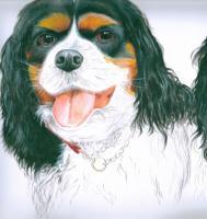 Barrys Dog - Acrylic Paintings - By Malc Lane, Fine Art Painting Artist
