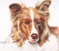 River Dog - Acrylic Paintings - By Malc Lane, Fine Art Painting Artist