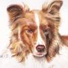 River Dog - Acrylic Paintings - By Malc Lane, Fine Art Painting Artist
