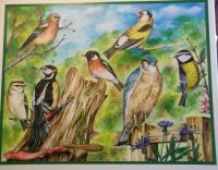Bird Compilation - Acrylic Paintings - By Malc Lane, Fine Art Painting Artist