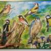 Bird Compilation - Acrylic Paintings - By Malc Lane, Fine Art Painting Artist